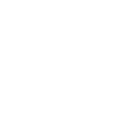 Luxury Sport Cruise Logo